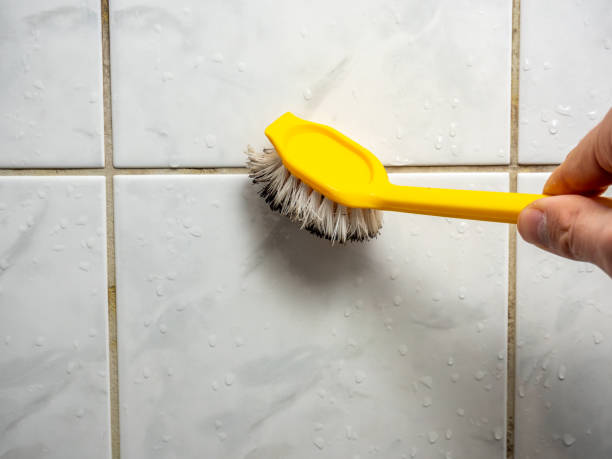 Best Fast Mold Removal  in Albion, NE