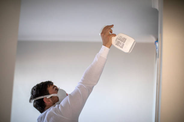 Best Office Mold Removal Services  in Albion, NE