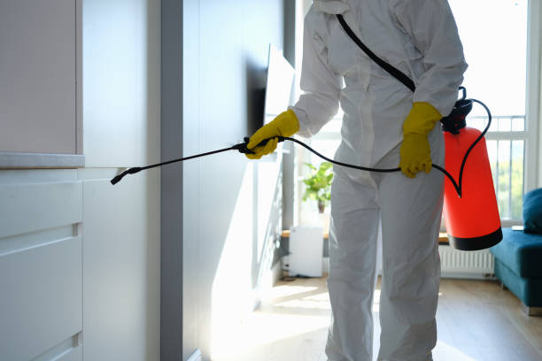 Reliable Albion, NE Mold Removal Solutions