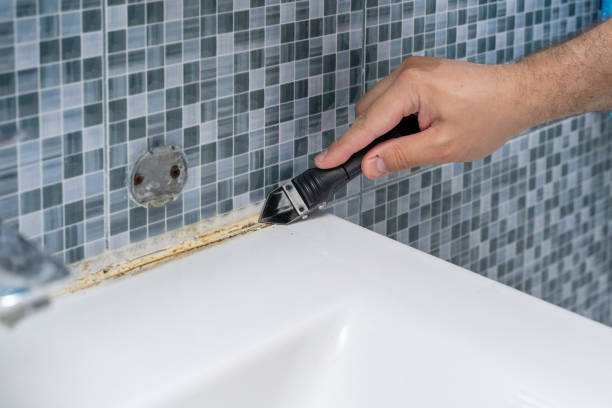 Mold Testing and Removal in Albion, NE